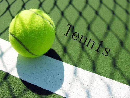 看台上挥舞 看台上挥舞