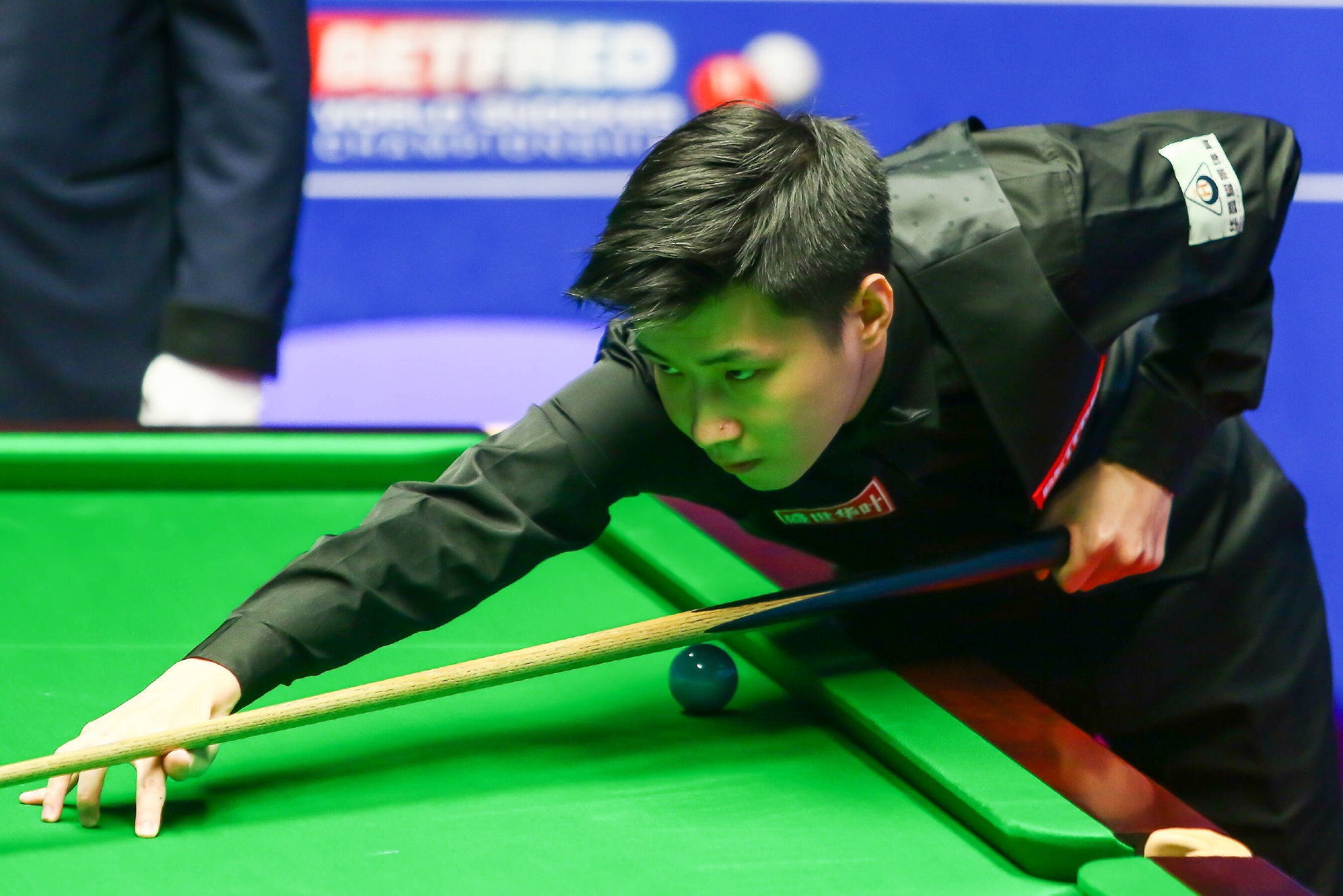 我们提供了 我们提供了