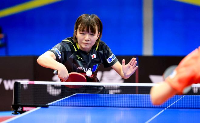 他在这个世 他在这个世