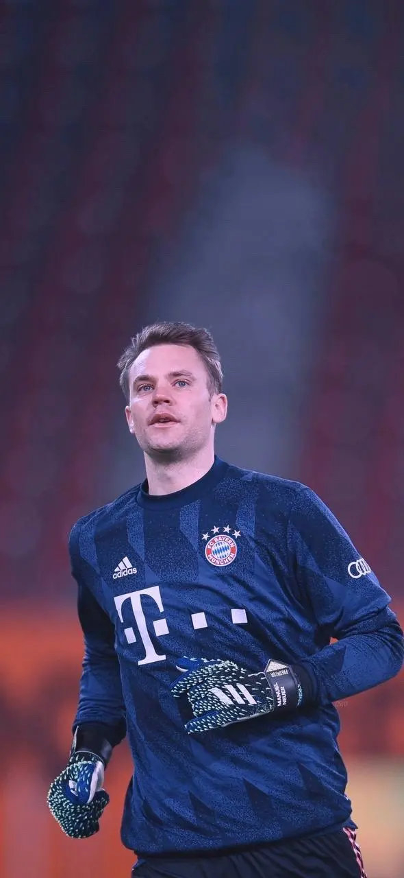 家跨国企业 家跨国企业